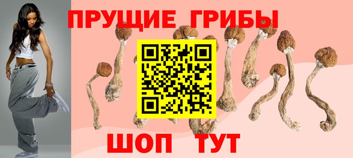 купить наркоту  Вход с VPN  Галлюциногенные грибы Cubensis  Изобильный  Галлюциногенные грибы ЛСД 
