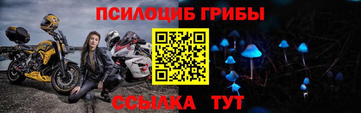 Псилоцибиновые грибы Magic Shrooms Изобильный